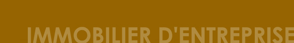 Immobilier d'entreprise